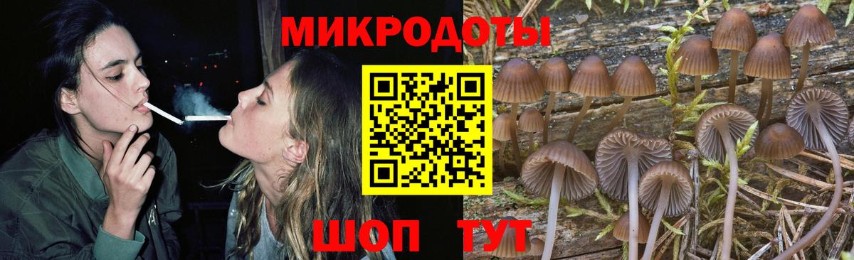 Галлюциногенные грибы MAGIC MUSHROOMS Углич
