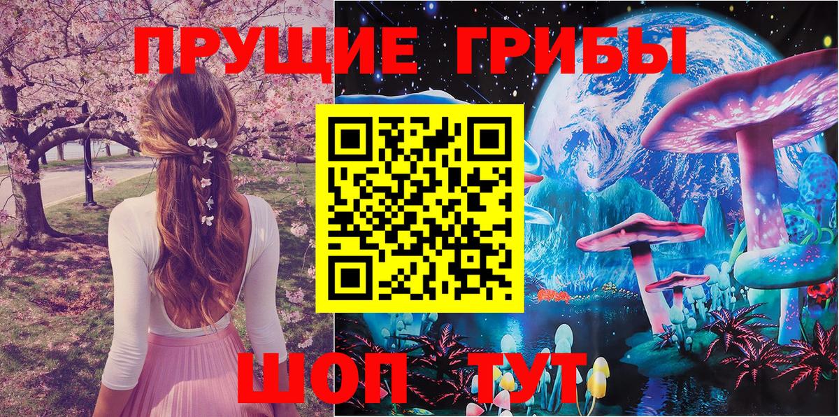 дарнет шоп  Галлюциногенные грибы прущие грибы  Вход с VPN  Углич 